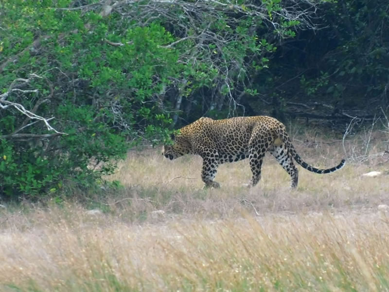 WhatsApp Image 2025-08-04 at 8.45.30 PM