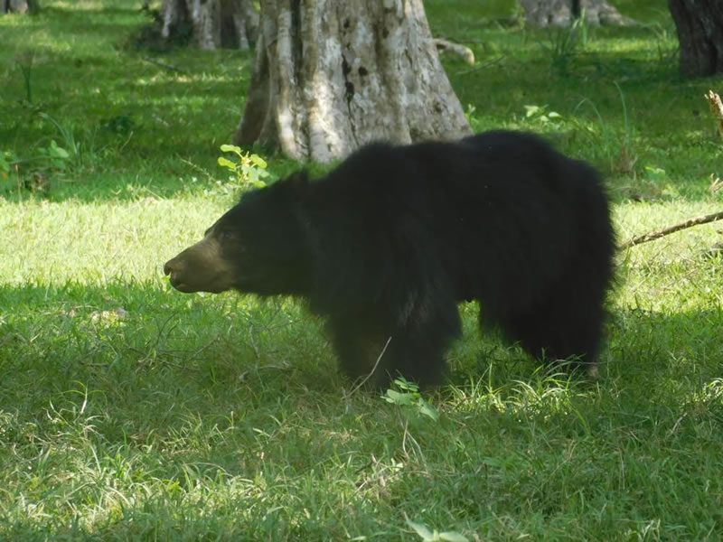 WhatsApp Image 2025-08-04 at 8.45.41 PM (1)