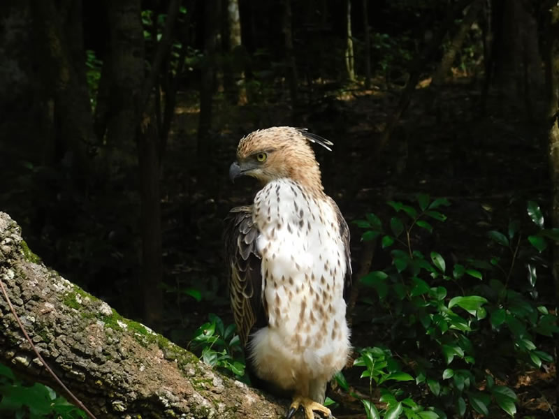 WhatsApp Image 2025-08-04 at 8.45.42 PM (1)