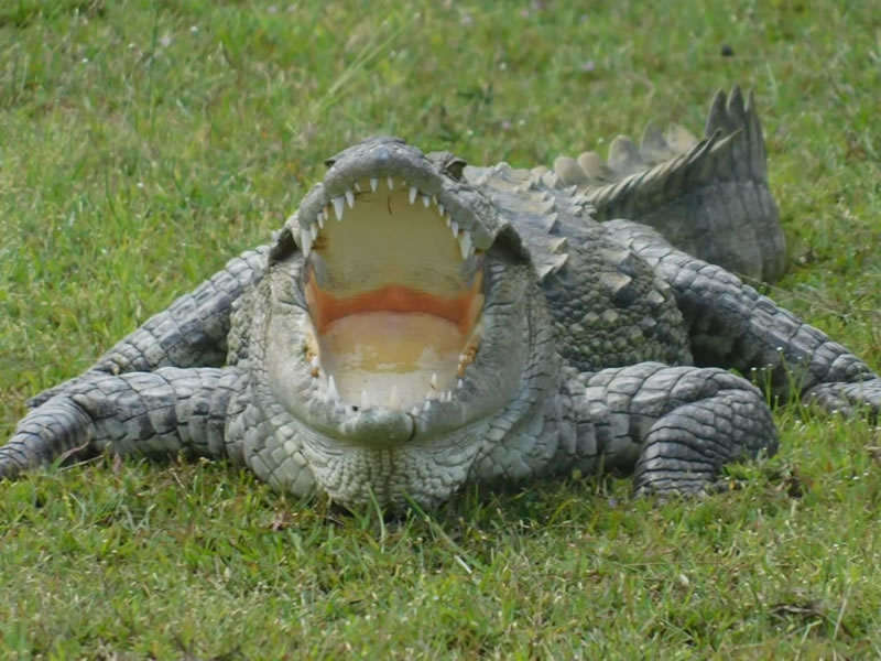 WhatsApp Image 2025-08-04 at 8.45.43 PM