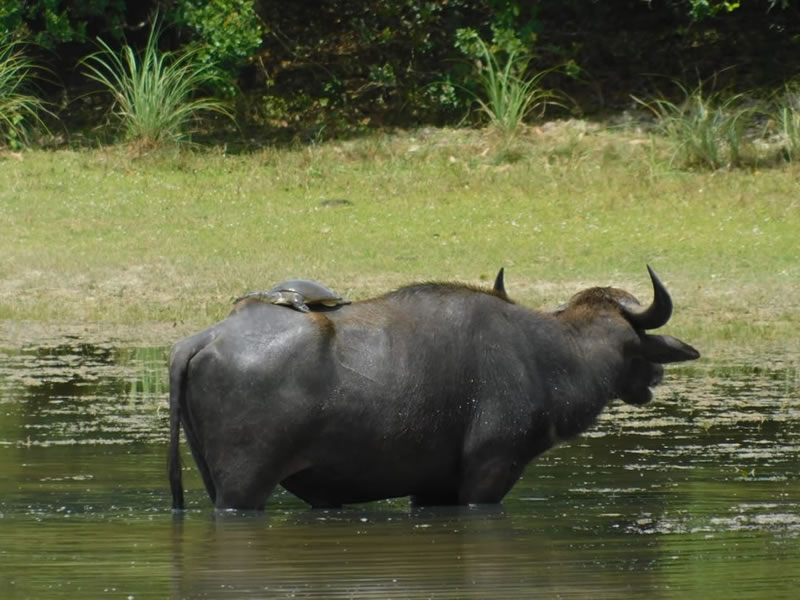 WhatsApp Image 2025-08-04 at 9.53.36 PM