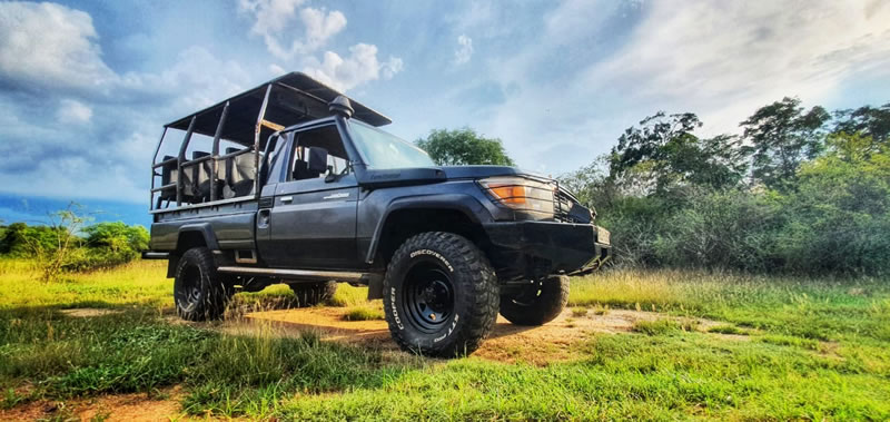 WhatsApp Image 2025-09-15 at 8.49.04 PM