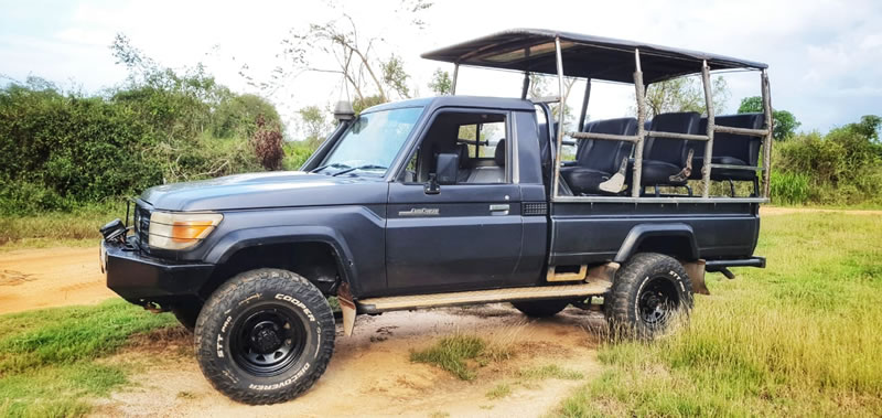 WhatsApp Image 2025-09-15 at 8.49.05 PM (1)