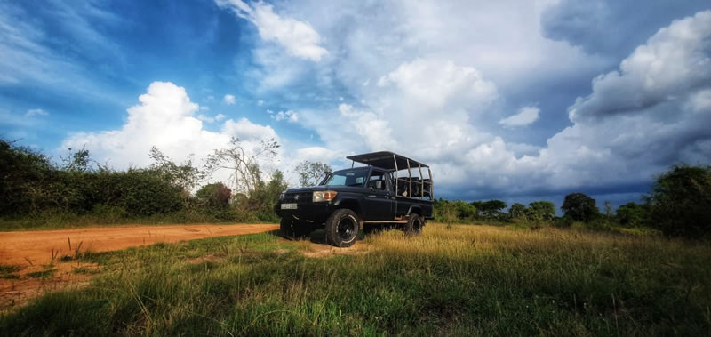 WhatsApp Image 2025-09-15 at 8.49.05 PM