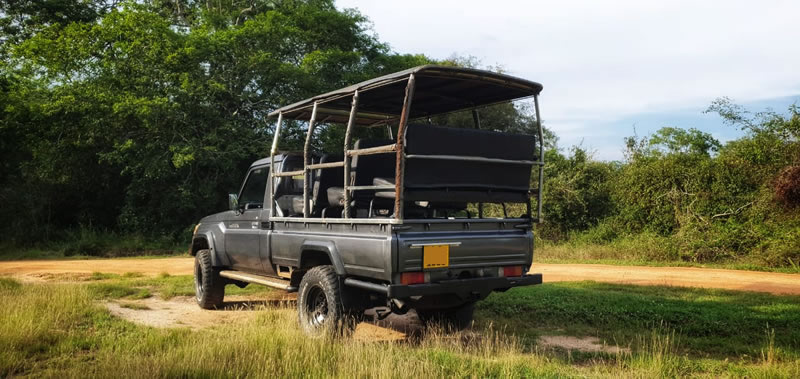 WhatsApp Image 2025-09-15 at 8.49.06 PM