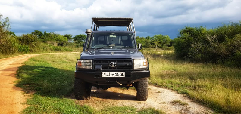 WhatsApp Image 2025-09-15 at 8.49.07 PM